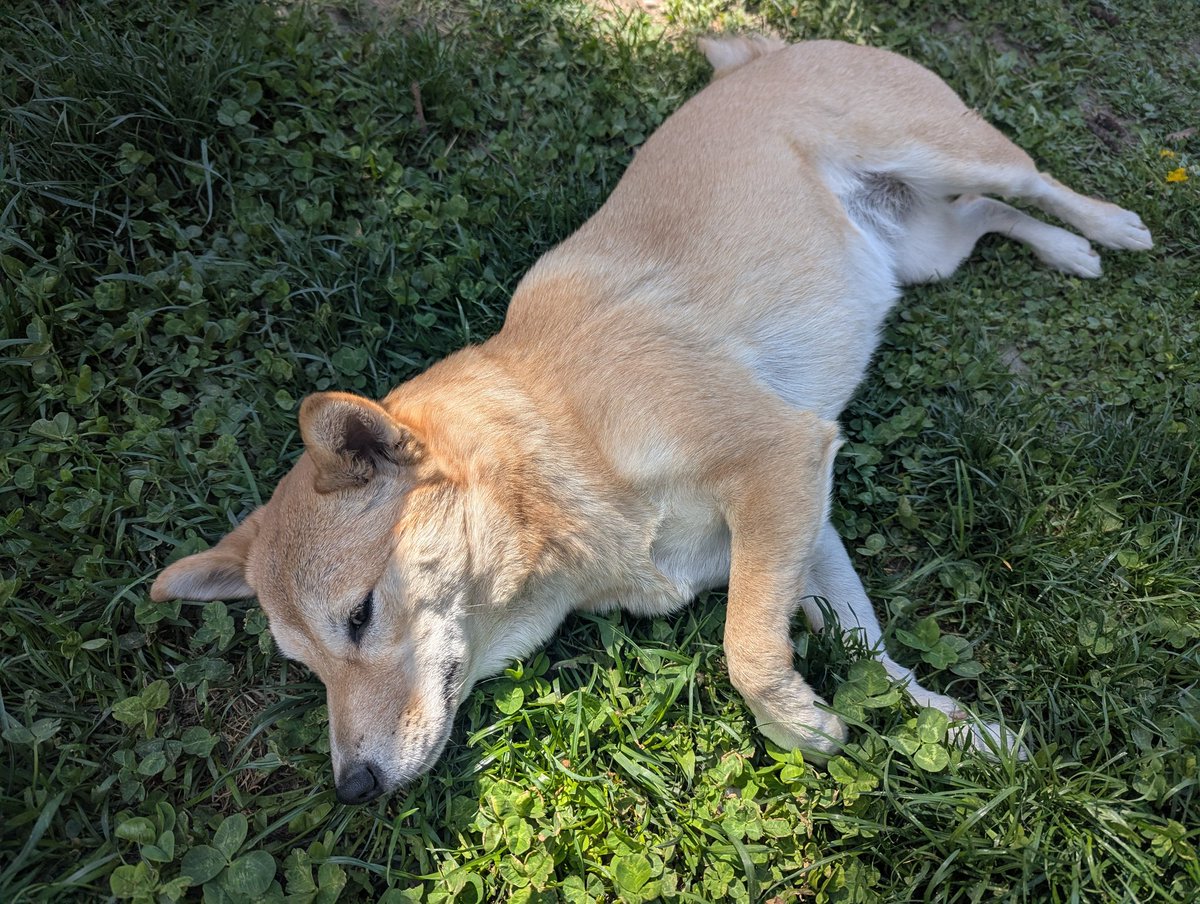 Eriko Sakaki tweet media