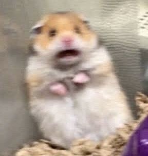 취향저격
ㅋㅋㅋㅋㅋㅋㅋㅋㅋㅋㅋㅋㅋㅋㅋㅋㅋㅋㅋㅋ