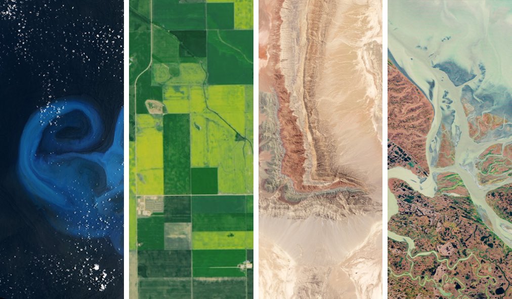 ella ⸆⸉ artemis ii era tweet media