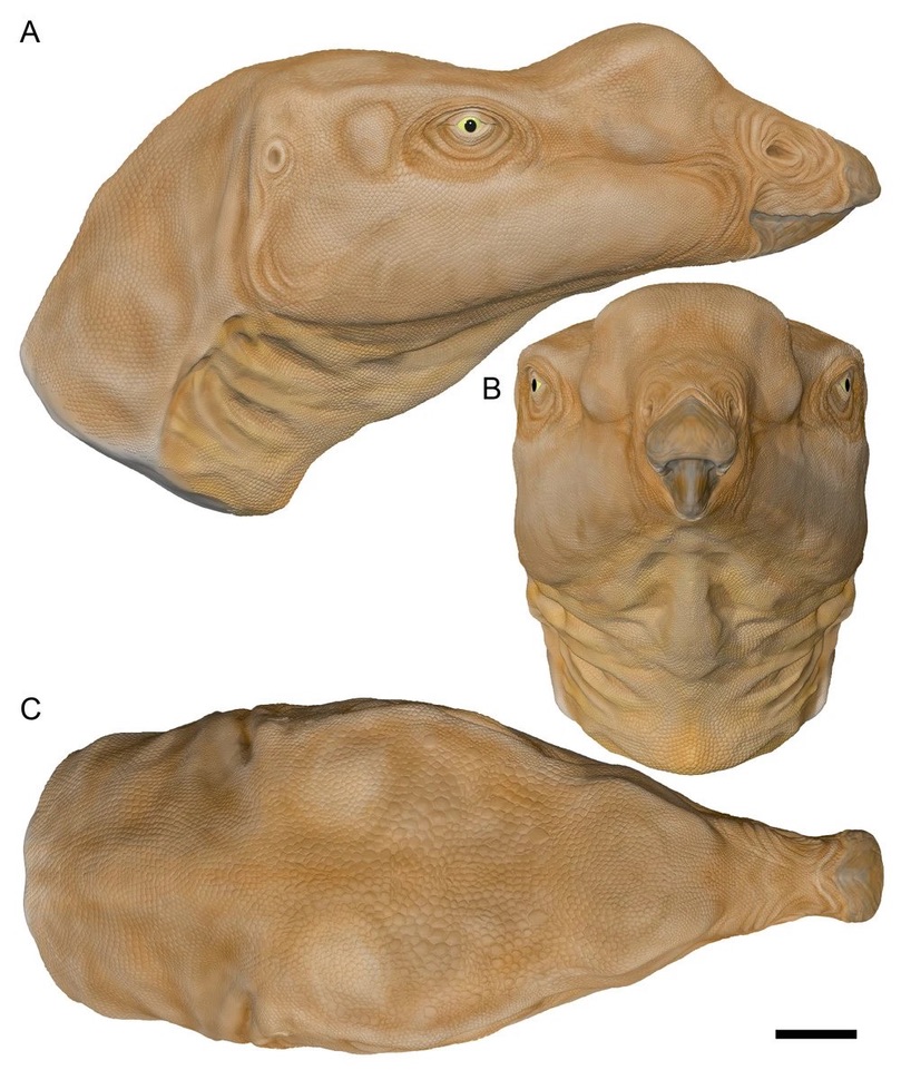 Omegafreelancer (Commissions OPEN!) tweet media