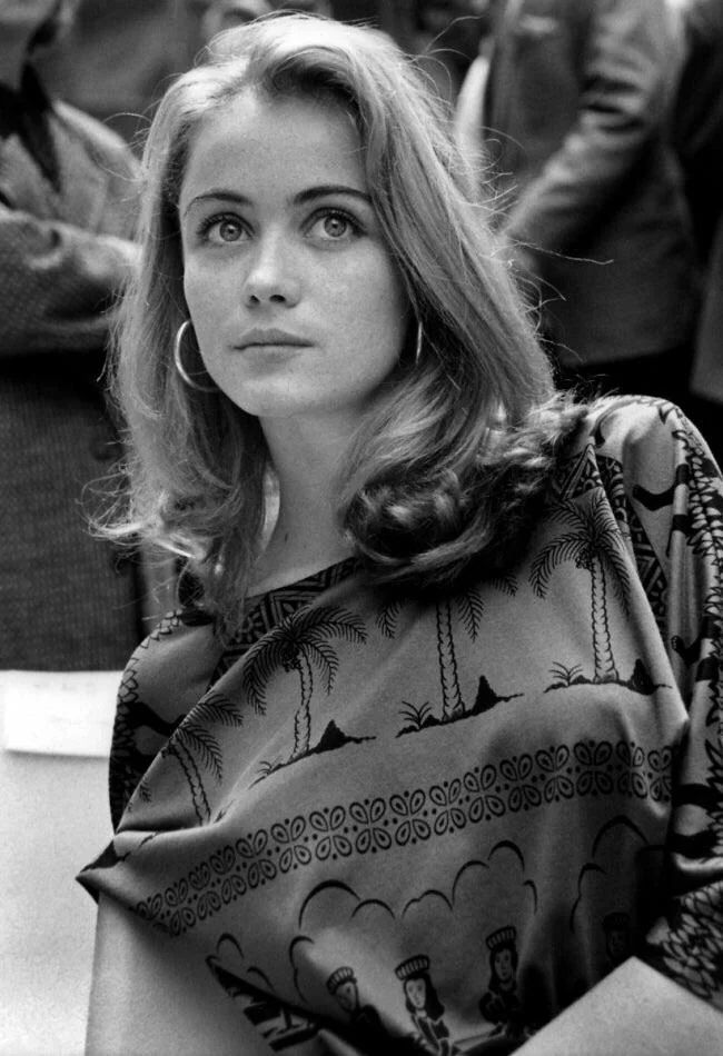 Undiscovered History tweet media