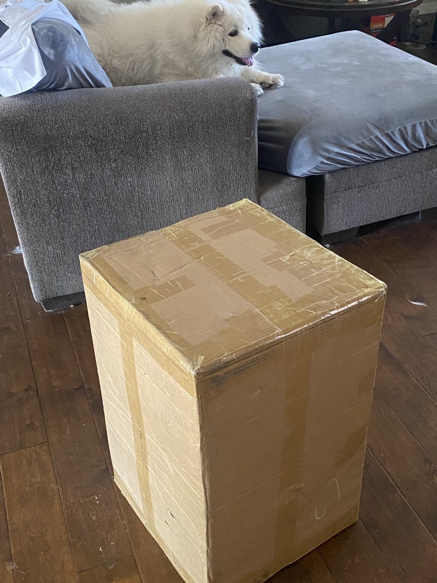 CryptoFace tweet media