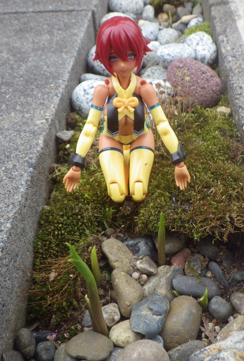 照和霊和Ｂ tweet media