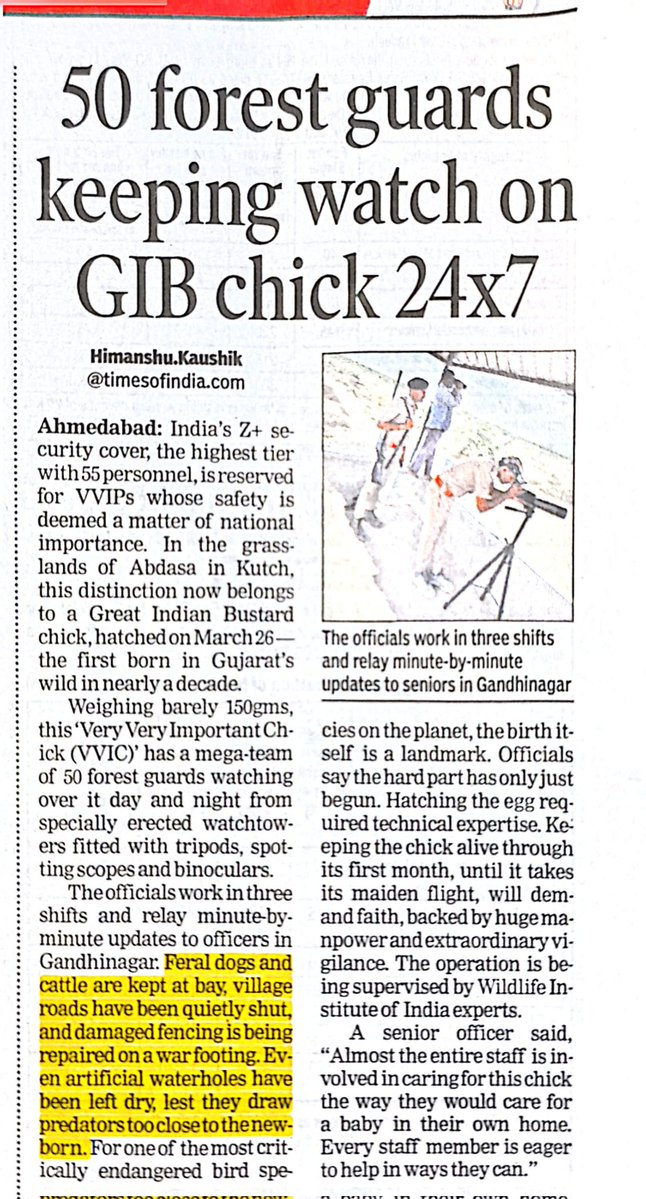 Ash Goyal tweet media