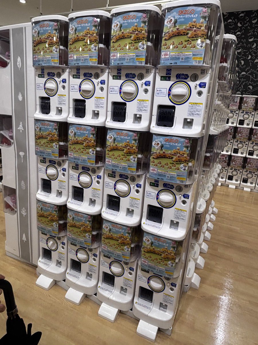 まいはに🐿🤎 tweet media