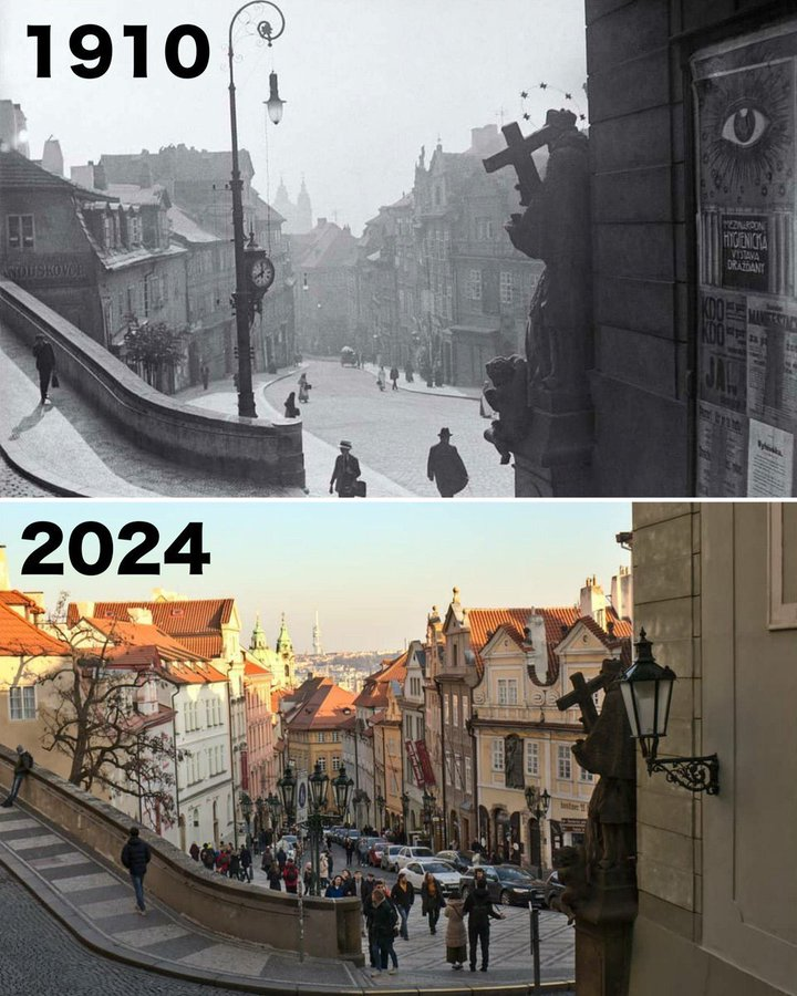 Pato Bonato tweet media