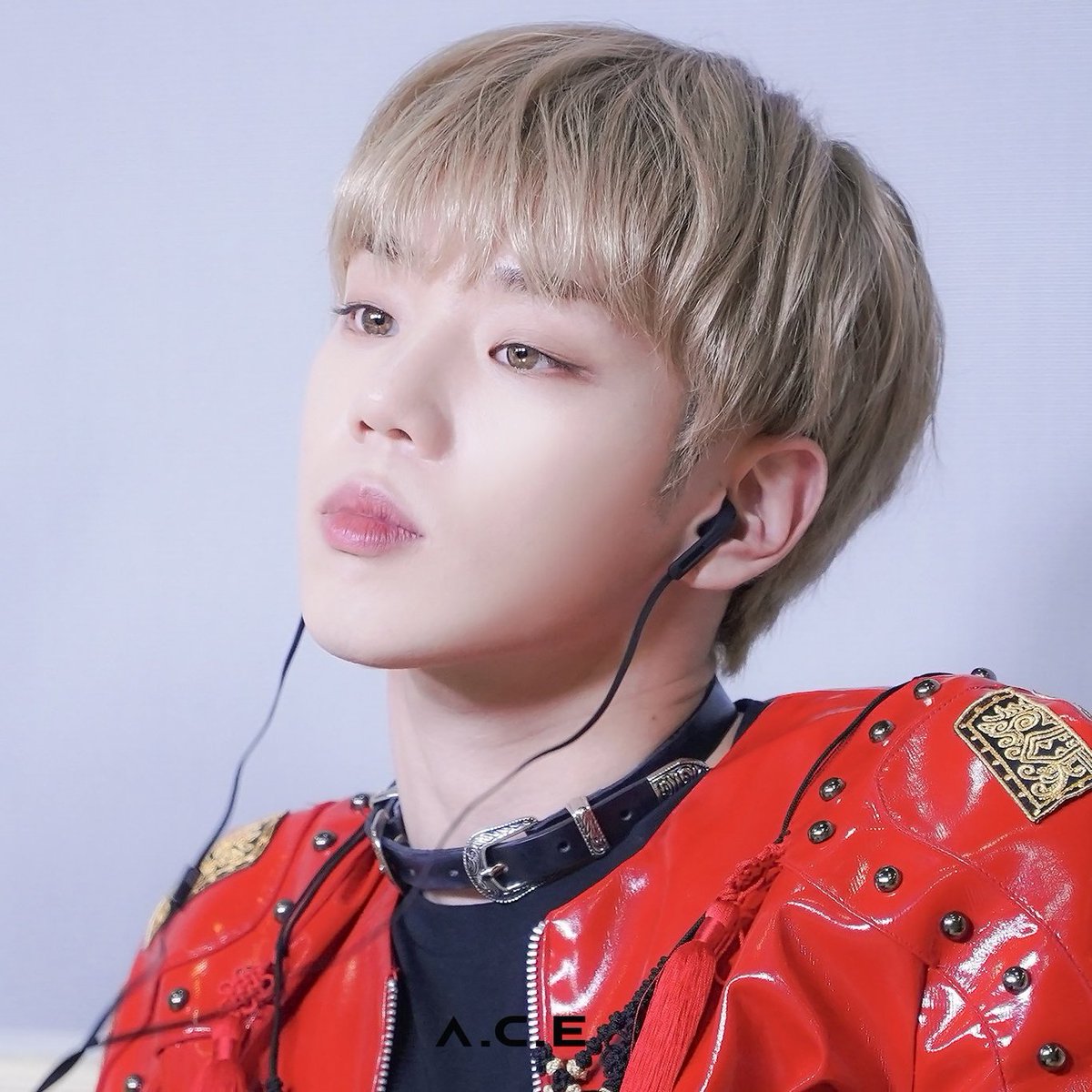 A.C.E (c)lover🍯 tweet media