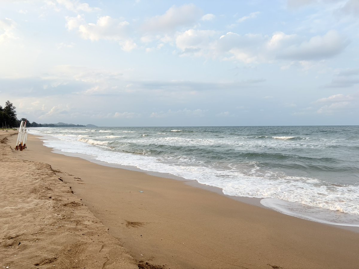 Santy 🐰 tweet media