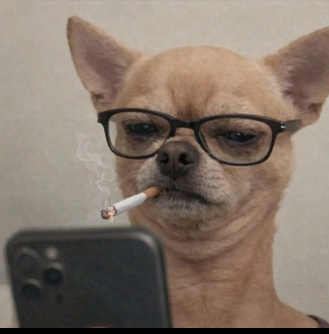 Grumpy Pickles tweet media