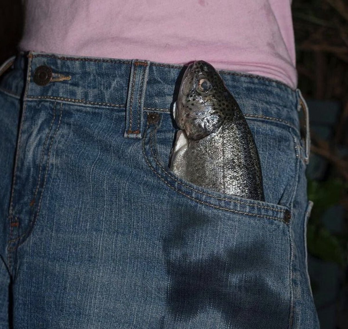 MythoAmerica 🌲 tweet media