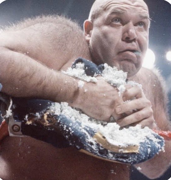 Honor The Cat tweet media