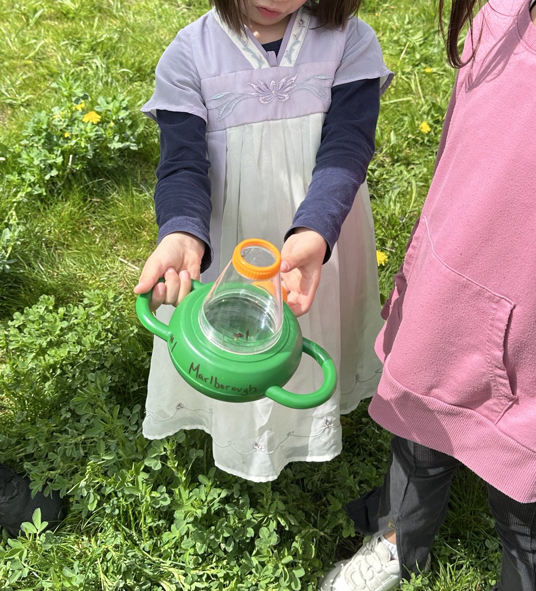 mmedare's tweet photo. We celebrated Earth Day with cookies, a bug hunt and a healthy dose of Vitamin N! @SD41marlborough #togetherisbetter #vitaminN #nature https://t.co/KQf811d8pu