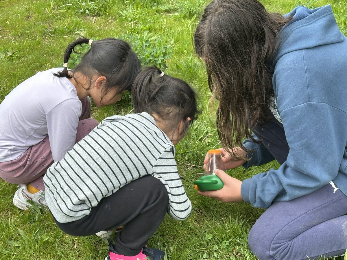 mmedare's tweet photo. We celebrated Earth Day with cookies, a bug hunt and a healthy dose of Vitamin N! @SD41marlborough #togetherisbetter #vitaminN #nature https://t.co/KQf811d8pu