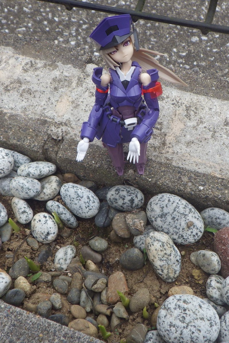 照和霊和Ｂ tweet media