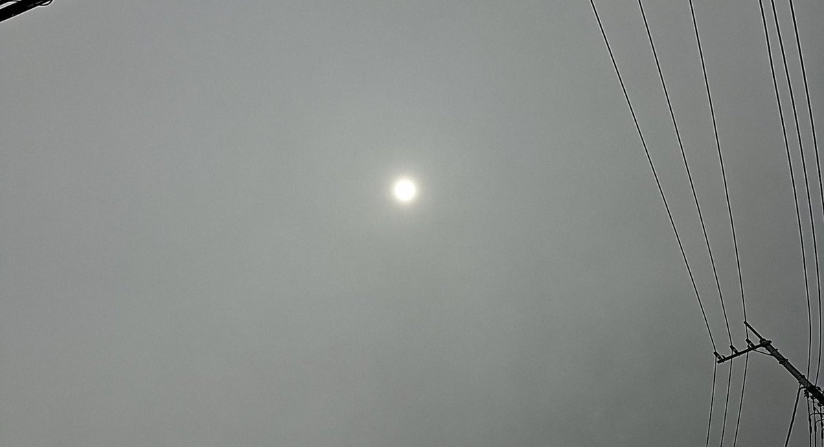 随分と暖かくなりましたね
今日は雲ってますが
がんばりましょう