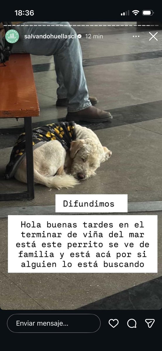 Alejandro Alegria 🌴 tweet media