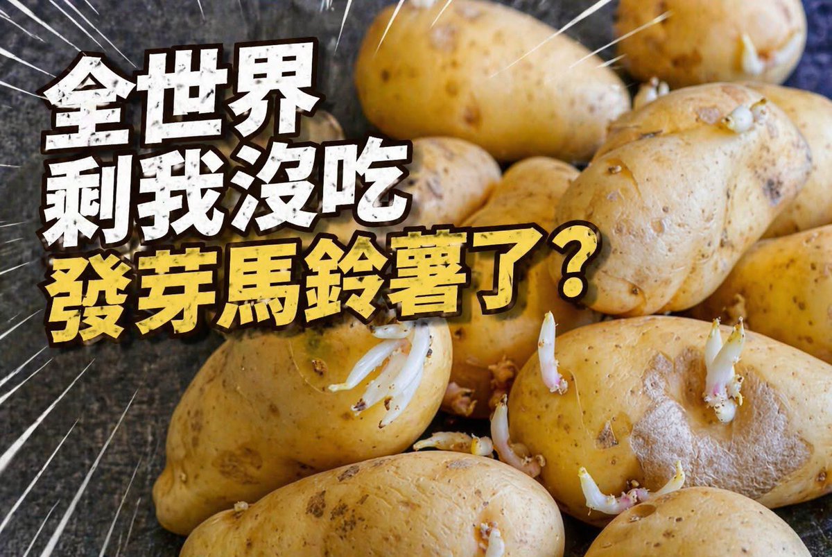 上官亂 tweet media