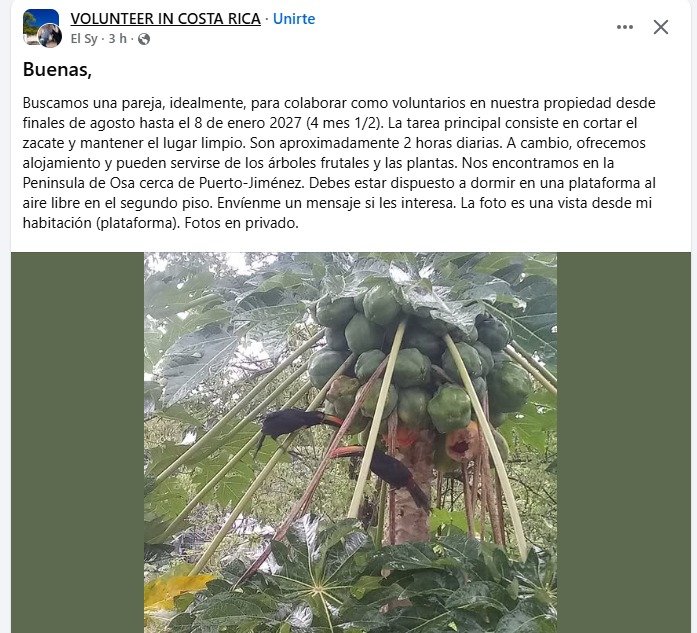 Ah no, que ofertón de hpts.
Trabajo de jardinería, pagado con lo que encuentren en los árboles y el dormir en una plataforma al aire libre.