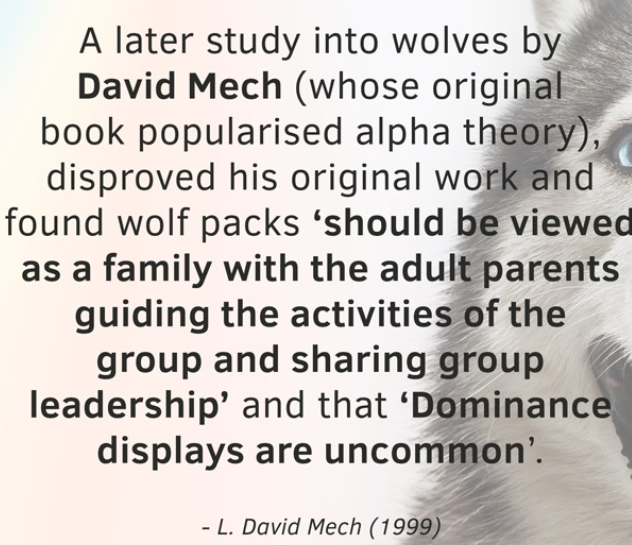 DJ da Silva tweet media