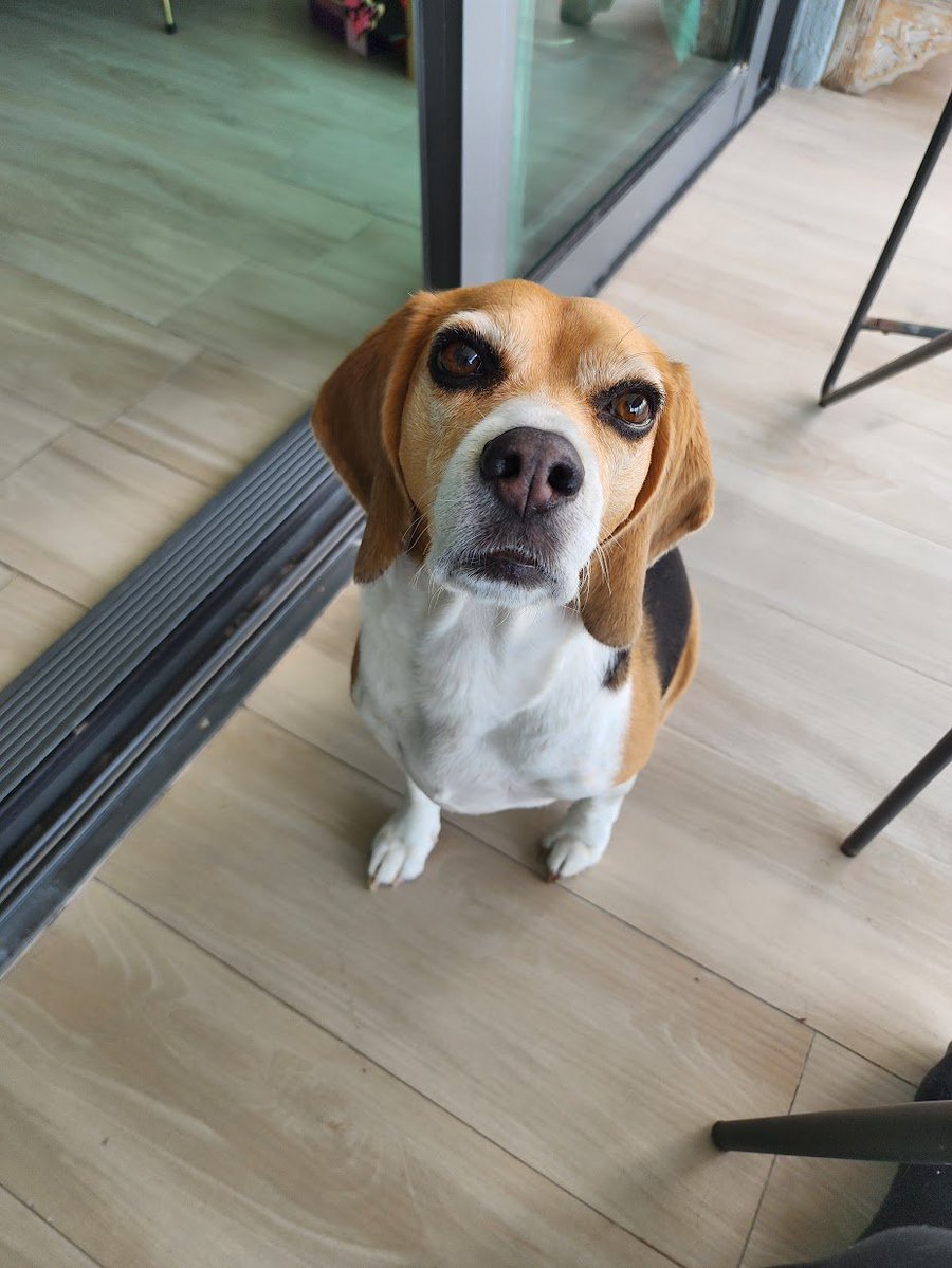 Peter Tarr tweet media