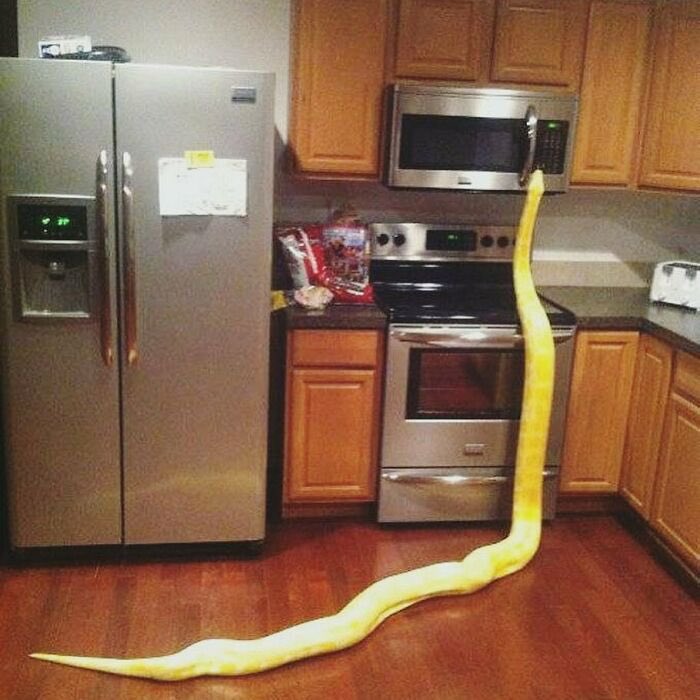 Agatha Chocolats tweet media