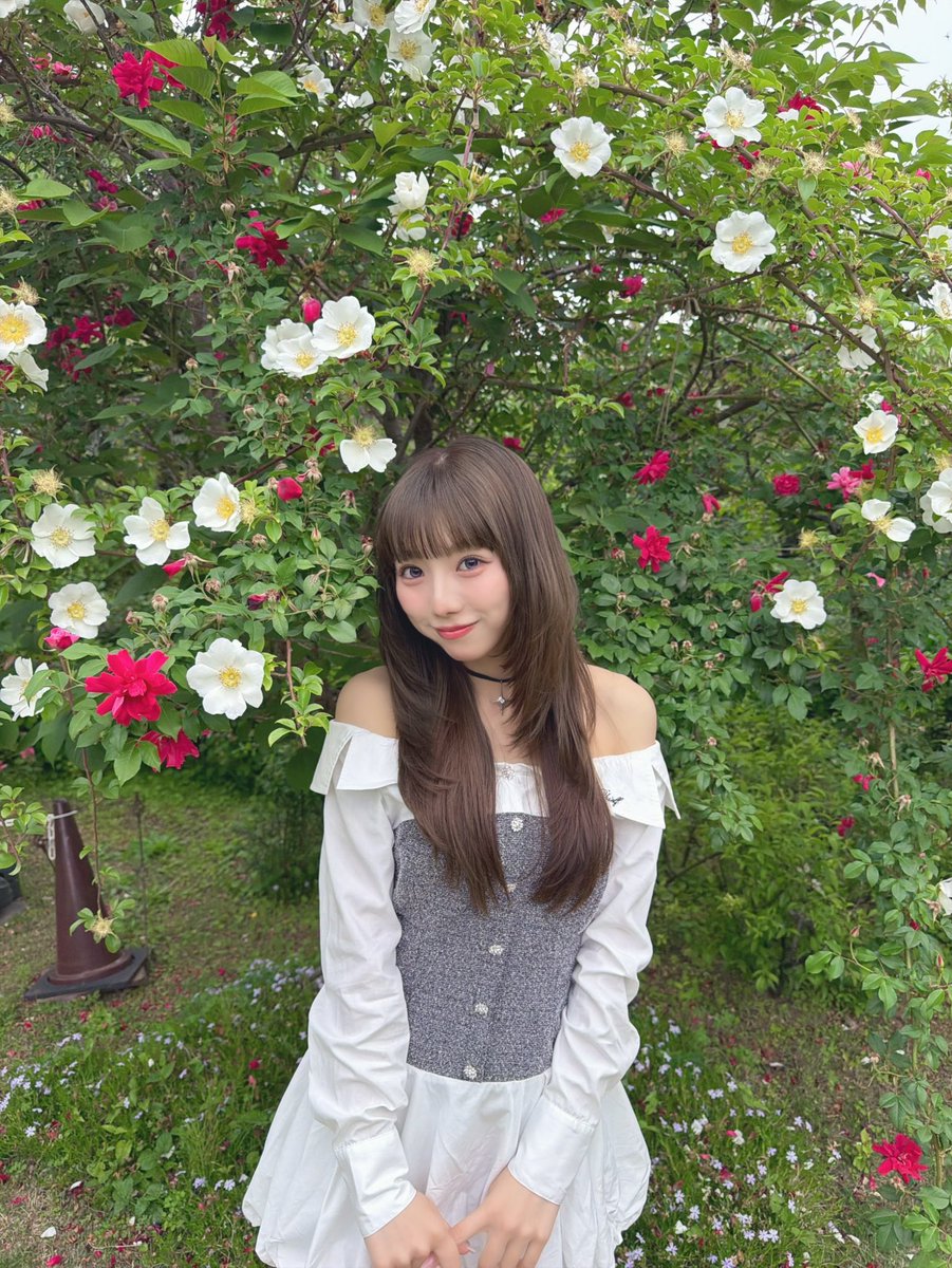 宇佐美 空来(マジパン) tweet media