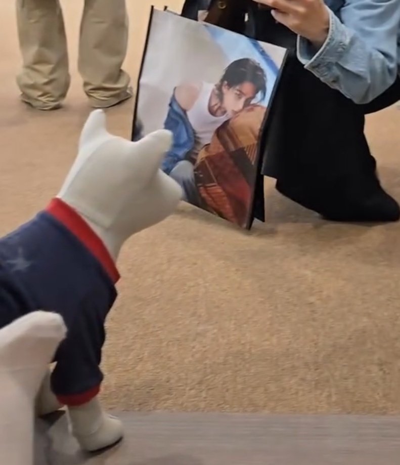 Hyunjin 현진 Central tweet media