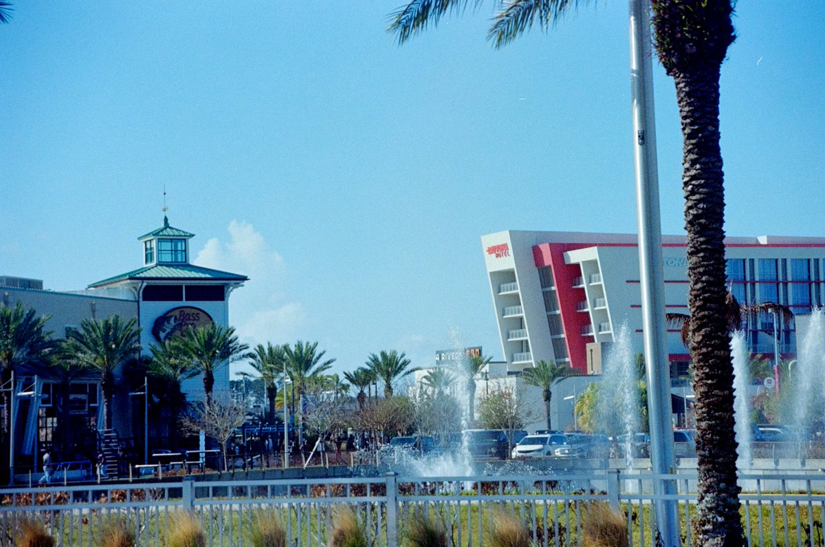 Nikon F4 // Kodak Proimage 100