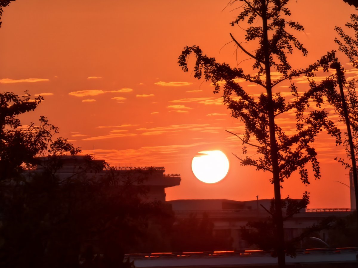 mikaildurukan tweet media