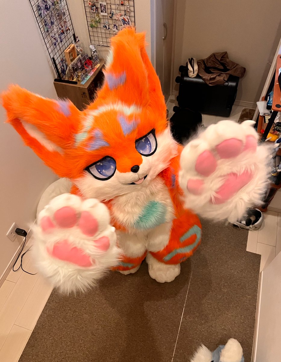 れいん / このは🐾🍁 tweet media