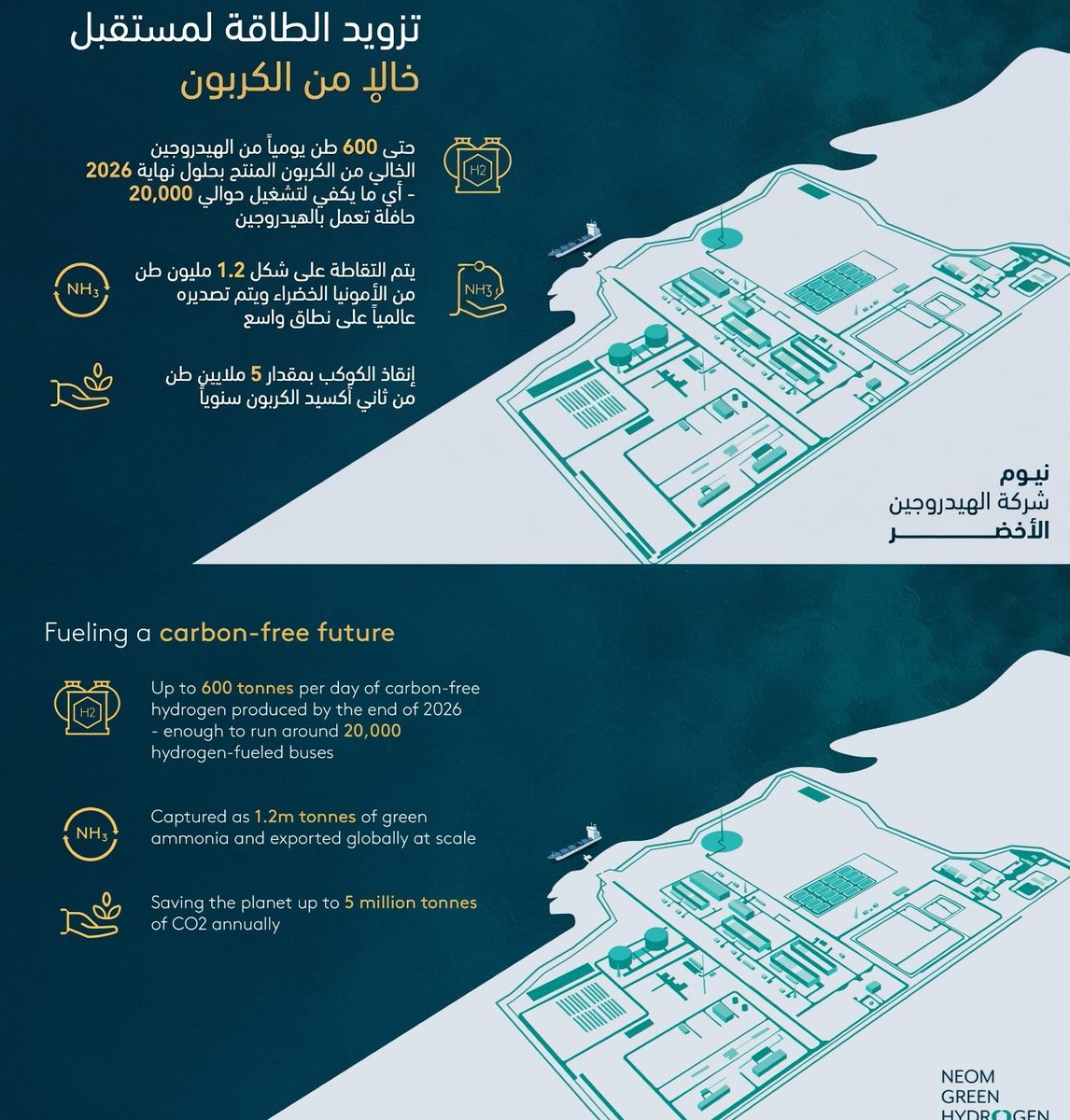 Saud tweet media
