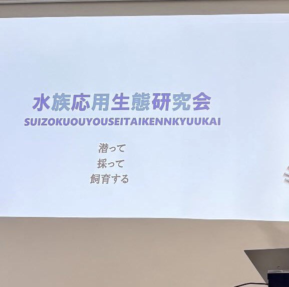 suiouken's tweet photo. 先日はサークルの説明会にご参加いただきありがとうございました。
先週、昨日と来られなかった方も仮入部受け付けております！入部検討以外にも些細なことの質問もしているのでDMお待ちしております！
#水応研 https://t.co/v04sQGB00Z