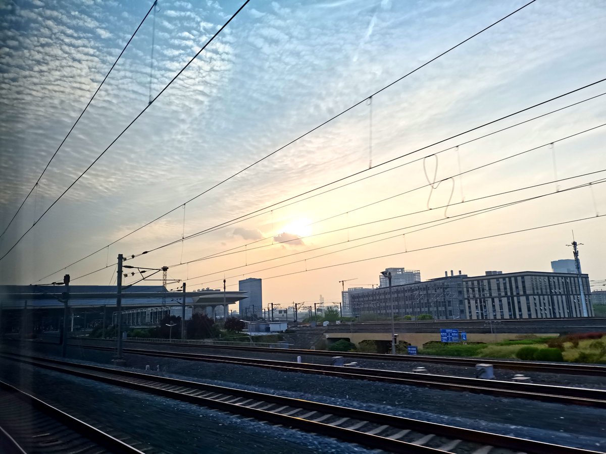 SFAC探员 tweet media