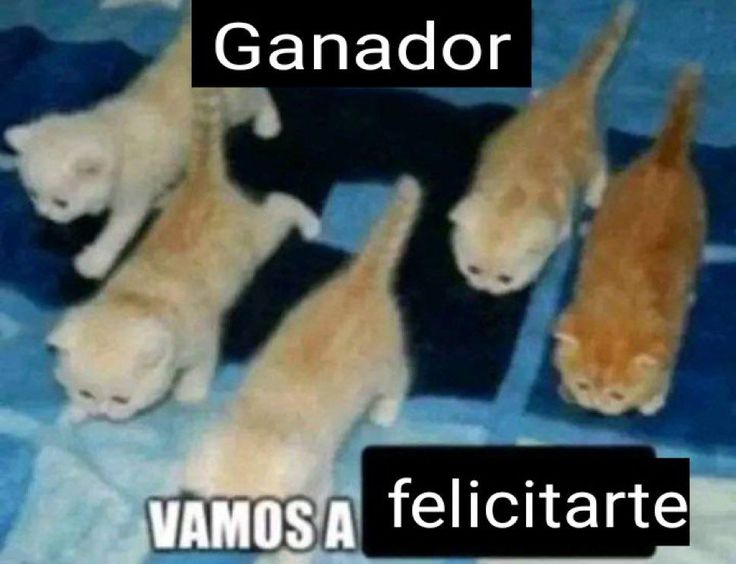 Hola ganador. Si estas viendo este tweet eres un ganador