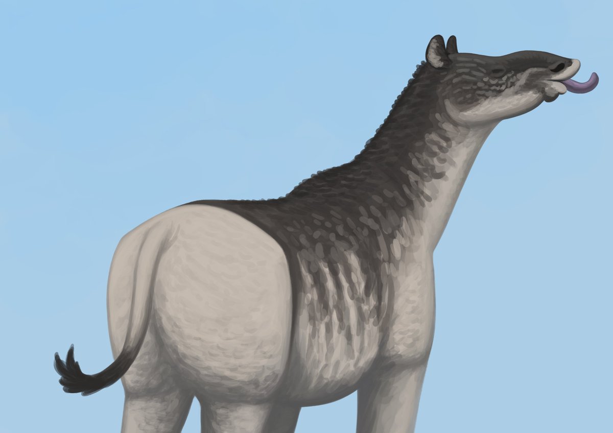 Aberrantologist tweet media