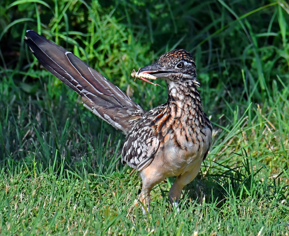 Stuart Harrison tweet media