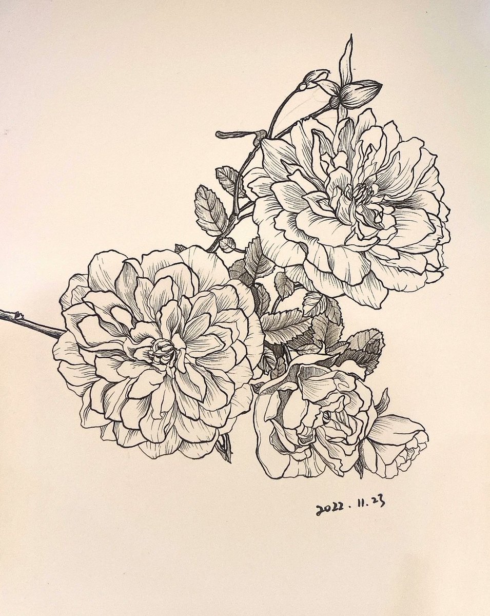 sobiya sekar tweet media