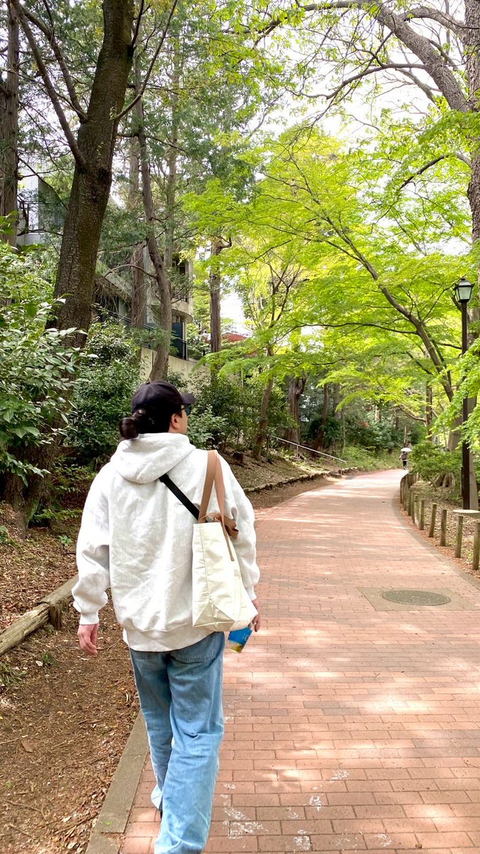 きみどり tweet media