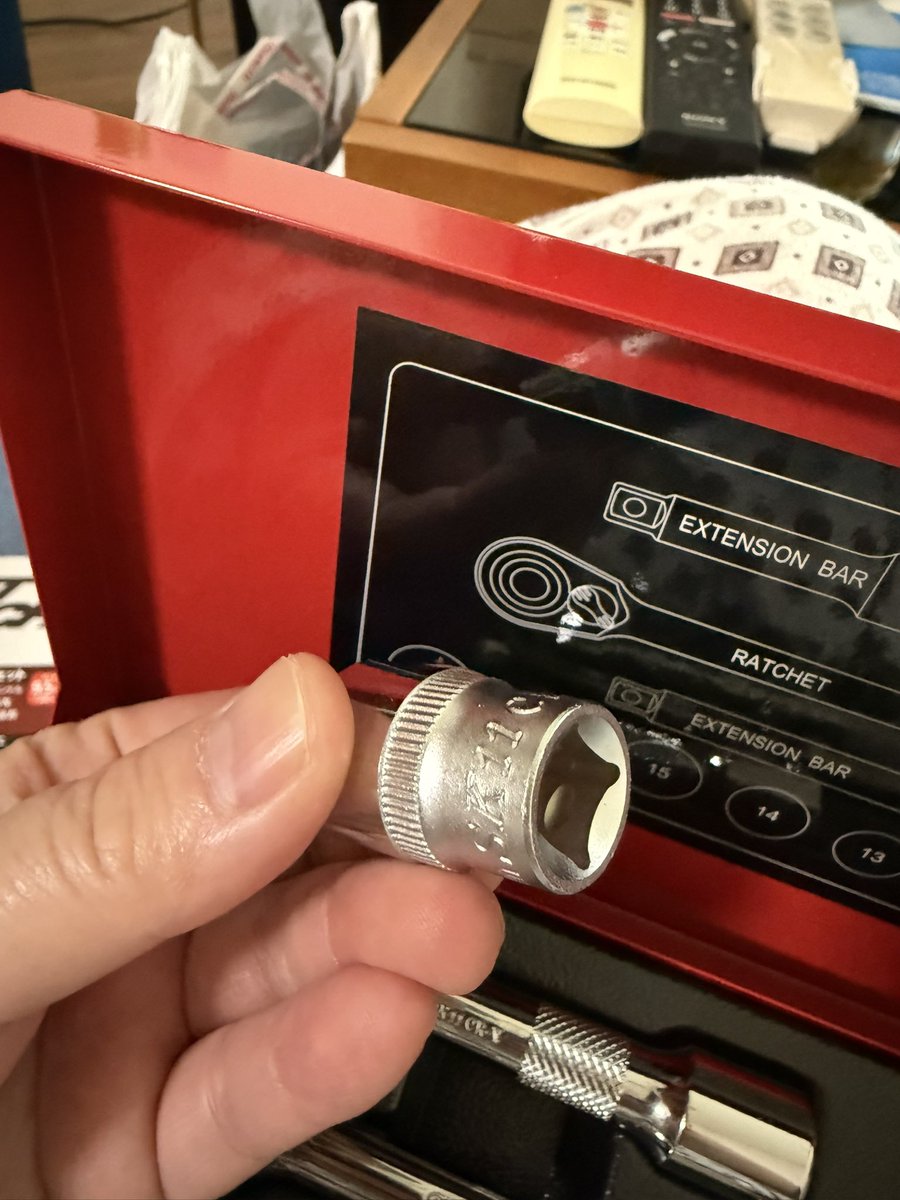 豹くん🐱 tweet media