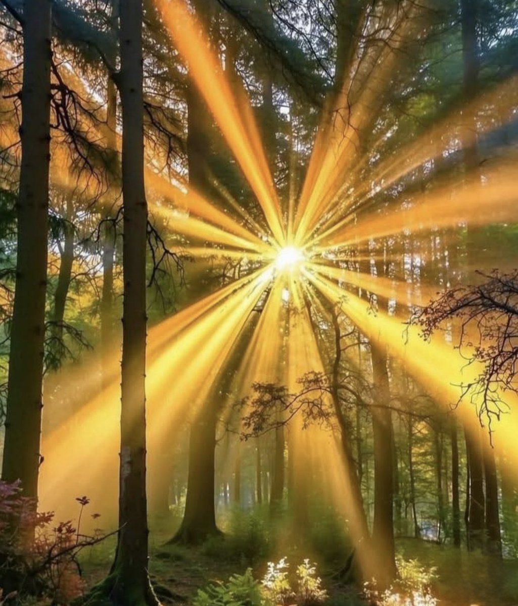 IchkaUB's tweet image. Have a wonderful spring day!

Health, smiles, kindness, and warmth! 

Sunny Thursday!