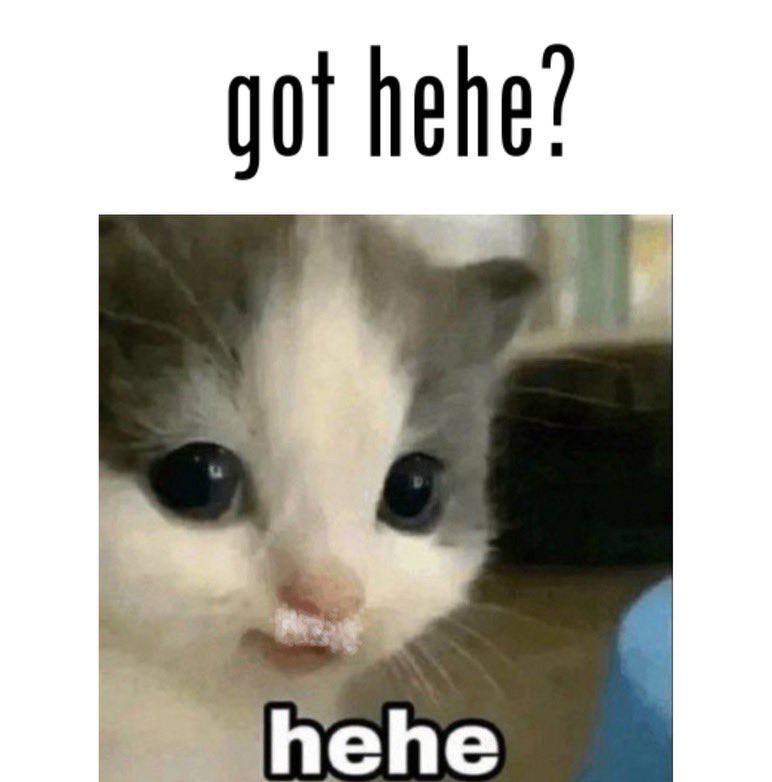 𝐼𝑛 𝑎 𝑤𝑜𝑟𝑙𝑑 𝑜𝑓 ℎ𝑎ℎ𝑎'𝑠. 𝐼 𝑎𝑚 ℎ𝑒ℎ𝑒 tweet media