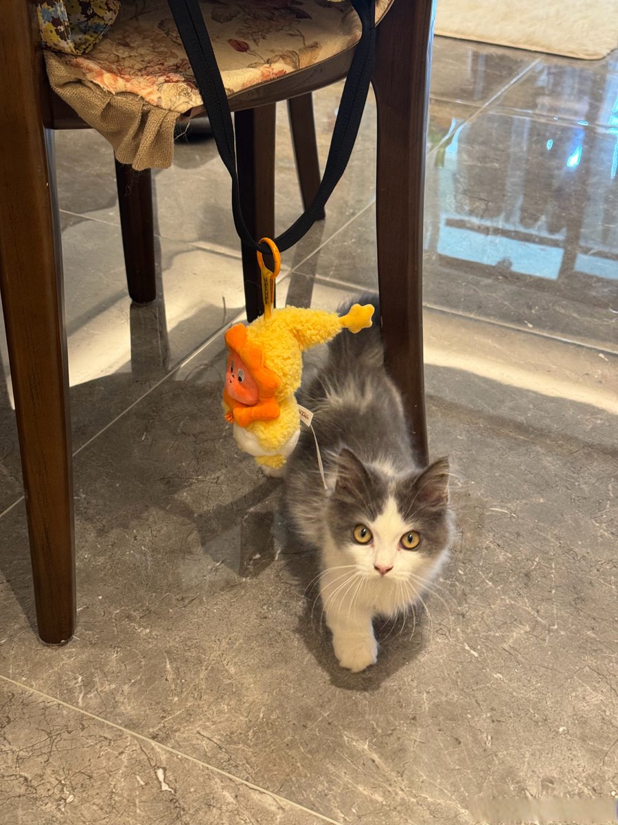 J Briggs tweet media