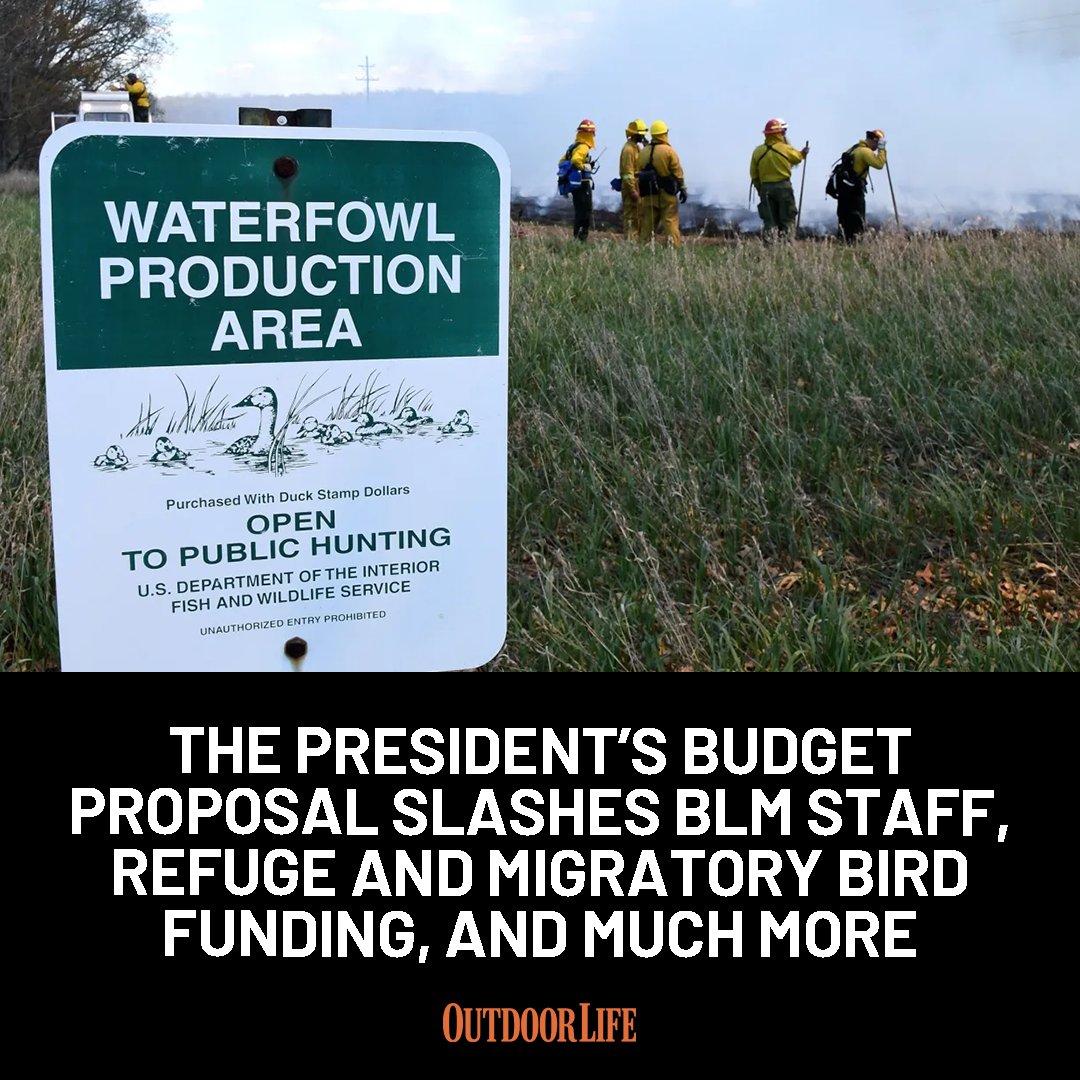 Wildlife managers and federal employees are wary of another round of cuts and funding reductions. Here's what's being proposed: trib.al/Q2eCAKZ