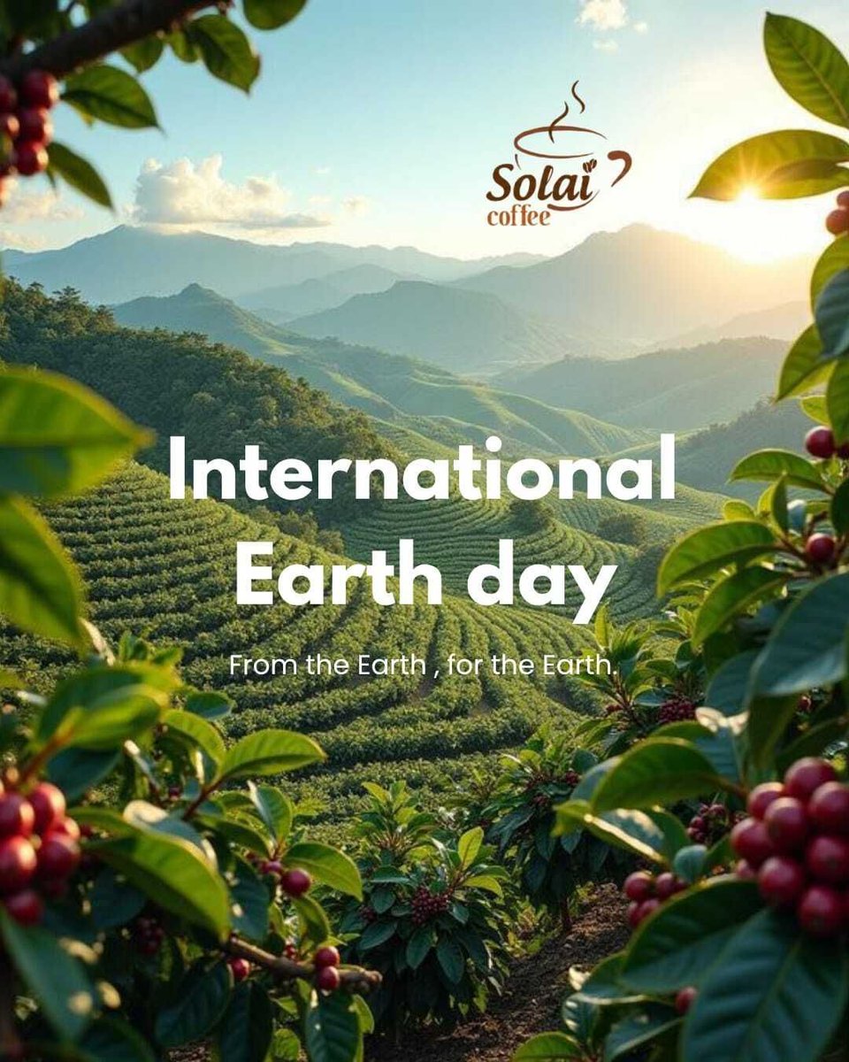 SolaiCoffee tweet media