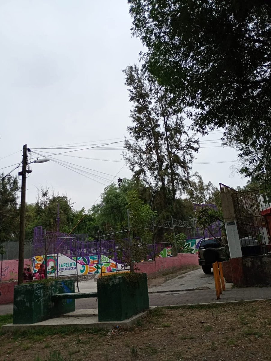 Hoy, en día de la madre tierra nos cercenaron
Ahí se existía un árbol enorme y hermoso!! 
Porque lo hicieron?? No sé, tal vez por intereses personales 
Pero esto ya fue mucho