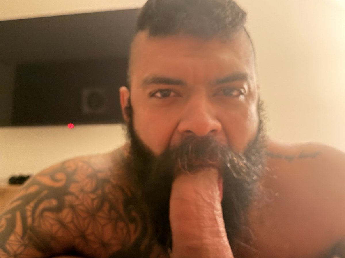 bigukbear tweet media