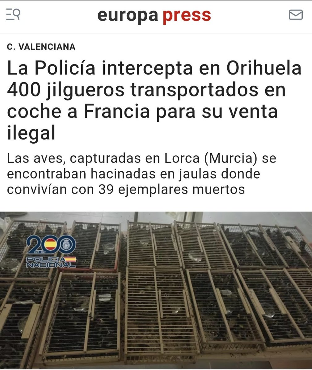 Marcoslrua tweet media