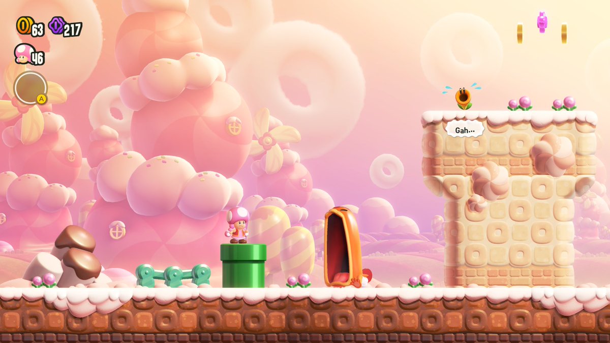 Islander Iris 🍊🧡 tweet media