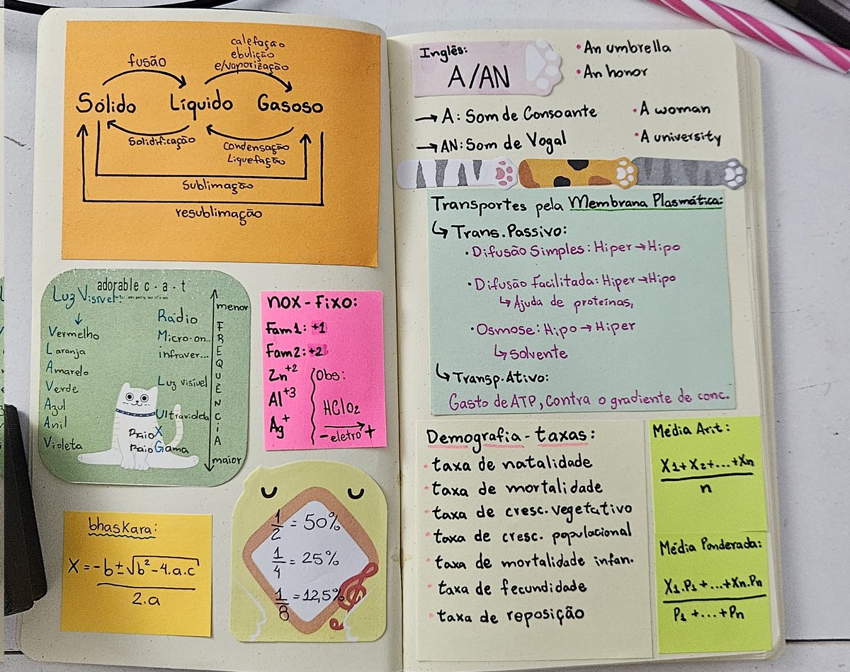 Bella🐠 tweet media