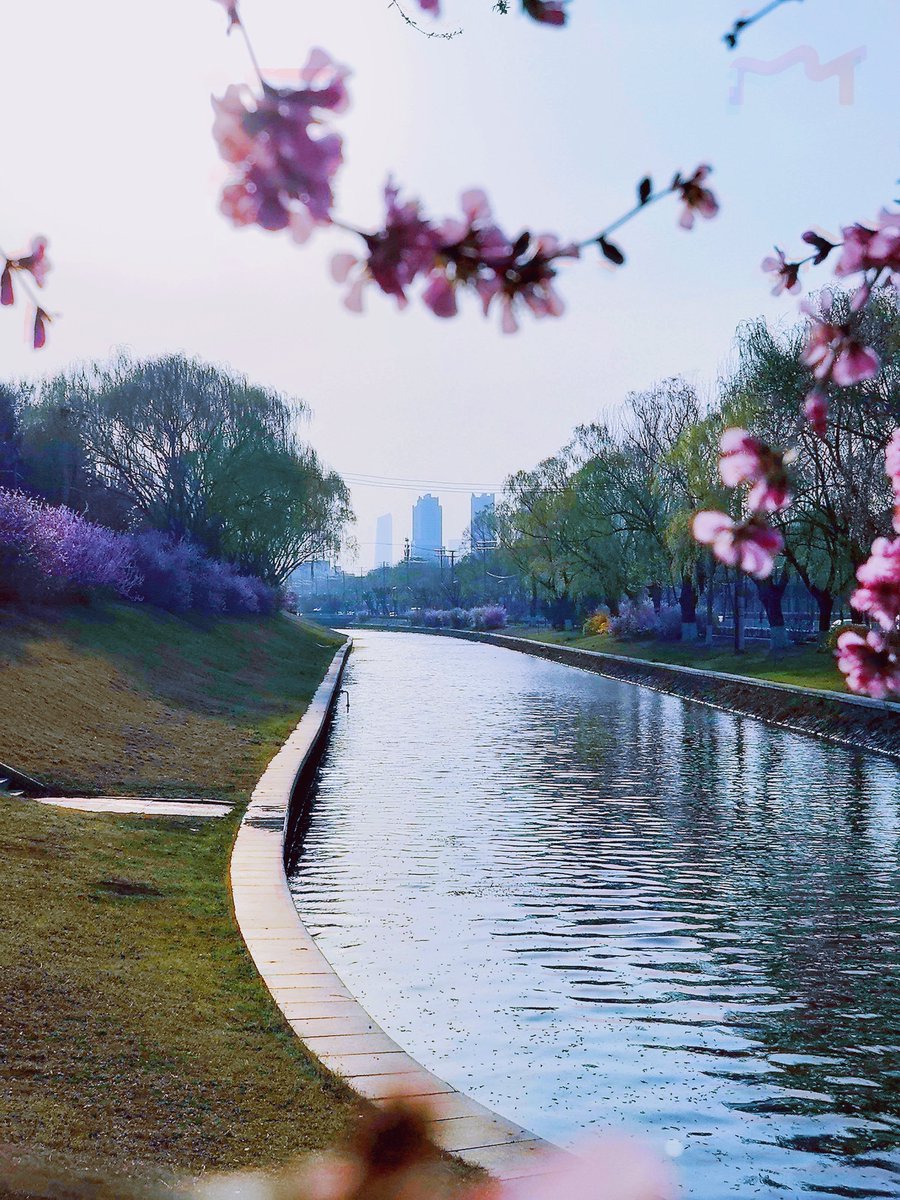 LiaoningC's tweet photo. Spring romance awaits you at the Hunhe River North Loop Path, #Shenyang, #Liaoning Province. Glowing sunsets, swaying willows and blooming flowers—who wouldn’t want a peaceful spring walk here?
#LiaoningTravel #SpringVibes #CitySpring #ChinaTravel https://t.co/oR7nrJihCu